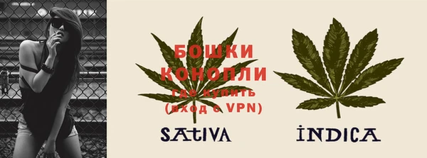 apvp Михайлов