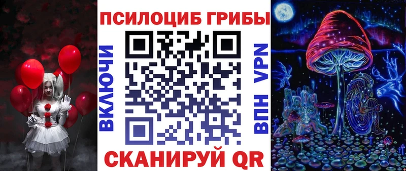 площадка состав  Троицк  Галлюциногенные грибы Psilocybine cubensis 