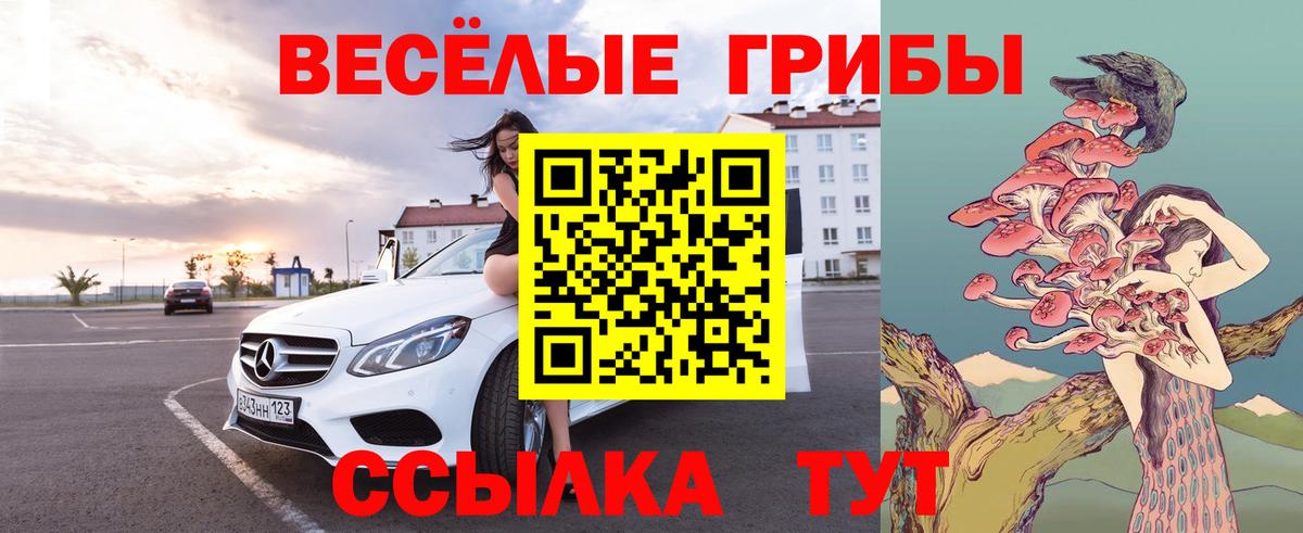 Галлюциногенные грибы прущие грибы Троицк