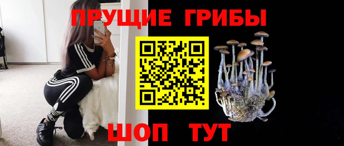 Псилоцибиновые грибы ЛСД  Галлюциногенные грибы прущие грибы  Троицк  Вход с VPN 